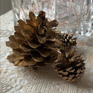 Meet your Posher, Svetlana